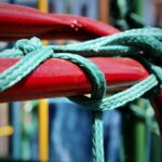 B8216874-BE9B-49B0-8005-1BC17A2C209F_1_201_a